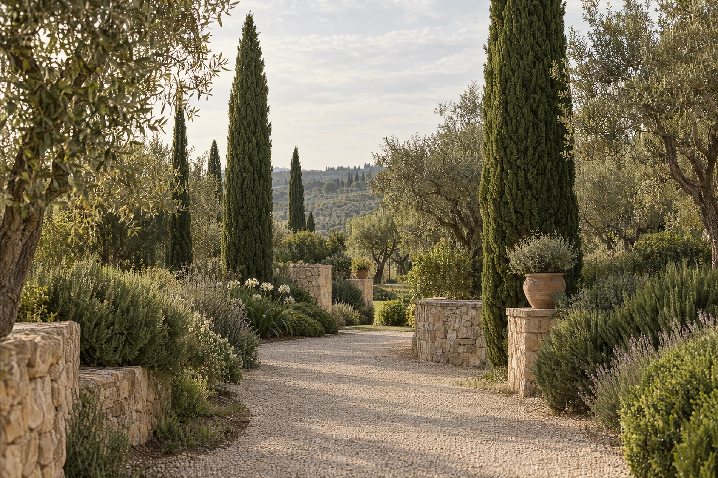 Un vialetto tra cipressi e ulivi